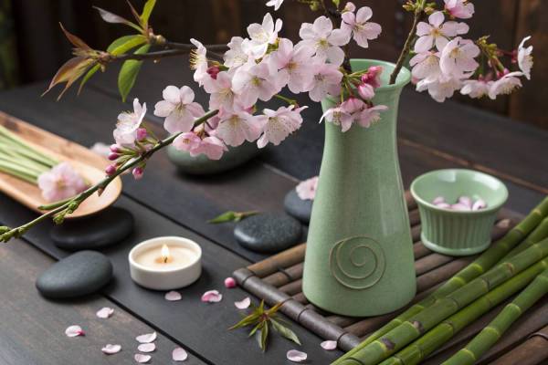 массаж ветка сакуры